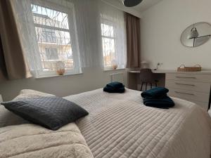ein Schlafzimmer mit einem Bett und zwei Kissen darauf in der Unterkunft Apartamenty Wilenska in Słupsk