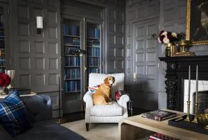 a dog sitting in a chair in a living room at The George Montclair in Montclair