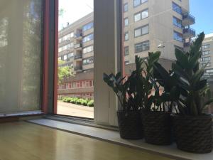 two potted plants sitting on a window sill at Linné Hostel in Gothenburg