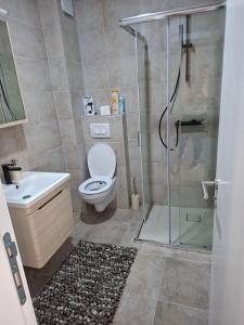 a bathroom with a shower and a toilet and a sink at Vidik jacuzzi apartment Divcibare in Divčibare