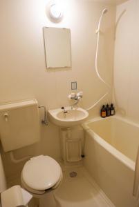 a bathroom with a toilet and a sink and a tub at The GAKUSUI in Hakuba +18 photos