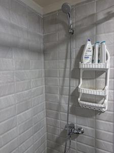 een badkamer met een douche en een plank met toiletartikelen bij Haven46  +26 foto's