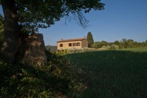 uma casa no meio de um campo com uma árvore em Villa Acquaviva em Montescudaio