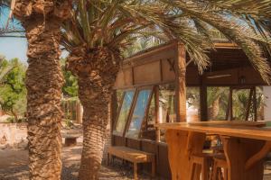 Aftenunderholdning for gæster der bor på Sheikh Ali Dahab Resort