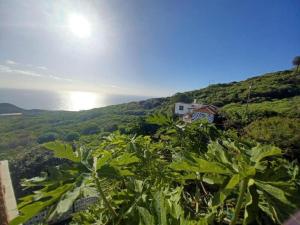 a view of a house on a hill with plants at El Olivo de Mazo 2 in Mazo +4 photos