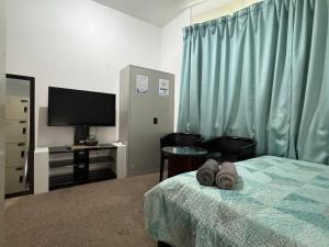 Photo de la galerie de l'établissement Backpacker's Bed, à Abu Dhabi