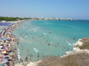 Táj Show holiday homes közelében