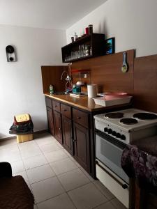 een keuken met een fornuis en een aanrechtblad bij Вила Еделвайс in Dobrinishte