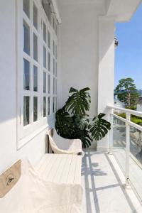 een balkon met 2 stoelen en een plant bij Ichigo Home Đà Lạt in Da Lat +30 foto's