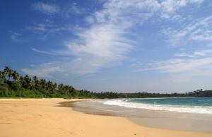 a sandy beach with the ocean and trees on it at The Mud House in Talalla South