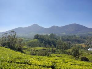 una vista di una collina verde con montagne sullo sfondo di Munnar Valley View a Munnar
