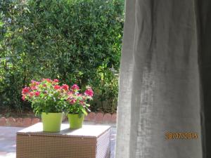 two potted flowers on a table next to a curtain at casa verdemare in Cefalù