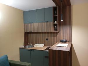 Køkken eller tekøkken på Apartmani Jelena 5