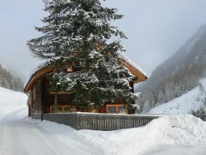 Haus Freistabl v zime