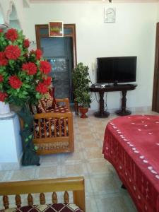 a living room with red flowers and a television at Appartement bni bouayache in Aït Farts