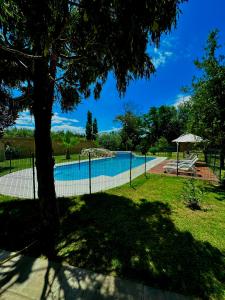 Swimmingpoolen hos eller tæt på Shangri la