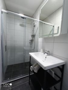 ein Badezimmer mit Waschbecken und Dusche in der Unterkunft Studio 1 Classe 2, Fibre, Netflix in Moirans-en-Montagne + 7 Fotos