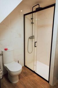 een badkamer met een toilet en een douche bij Ancien Cloître rénové - Hyper centre - T2 de 50m2 in Mont-de-Marsan +3 foto's