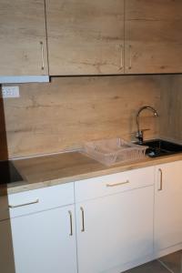 Køkken eller tekøkken på Apartmani Vidik,Treska