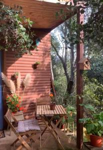 En have udenfor Cabaña entre parras