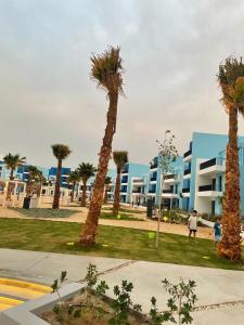 een groep palmbomen voor een gebouw bij Azure in Aqaba
