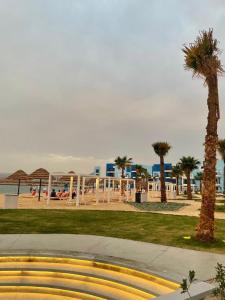 een palmboom in een park naast het strand bij Azure in Aqaba +1 foto