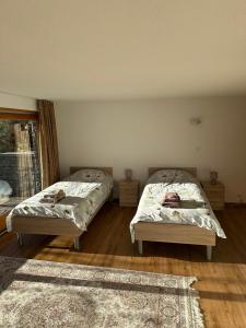 una camera da letto con due letti e un tappeto di Chalet à Savièse en bordure de forêt a Savièse