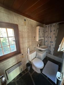 un bagno con un water, un lavandino e una finestra di Chalet à Savièse en bordure de forêt a Savièse Altre 14 foto