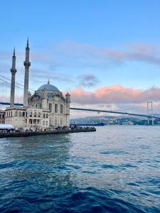 伊斯坦布尔Levant Pension de Luxe的水上清真寺，背景是一座桥。