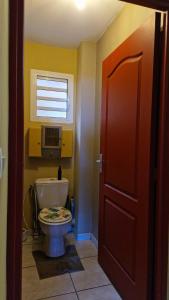 ein Bad mit einem WC, einem Fenster und einer Tür in der Unterkunft Petit jardin suspendu in Petite Île + 34 Fotos
