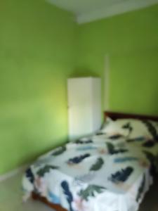 a bed in a room with a green wall at Foreign Home Stay in Katugastota