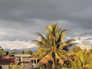 a palm tree in a city with a cloudy sky at Foreign Home Stay in Katugastota
