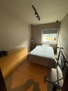 a bedroom with a bed and a window at Nyoppusset leilighet til leie in Isfjorden