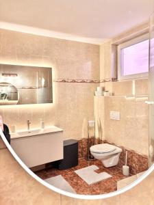 een badkamer met toilet en wastafel bij Flower House - Souterrain with Garden in Mölbling +8 foto's