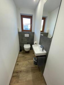 een badkamer met een toilet, een wastafel en een spiegel bij Ferienwohnungen Paukner in Sankt Englmar +25 foto's