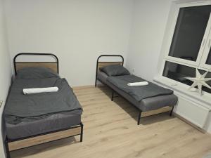 Gallery image of Luxury Rinok rooms in Rača