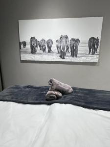 a teddy bear laying on a bed with a herd of elephants at Adventure Apartment - Addo Elephant Park South Entrance only 5km in Colchester