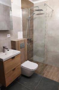 a bathroom with a shower and a toilet and a sink at Hel - Apartament in Hel