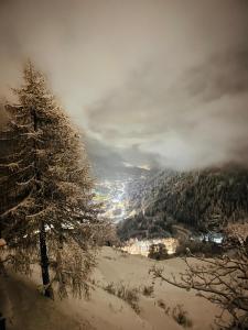 een met sneeuw bedekte boom op een heuvel met een stad bij Un balcone sulla Val di Pejo in Peio