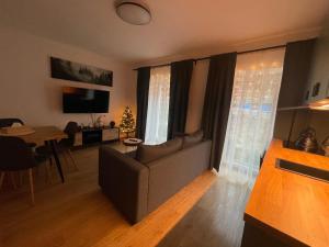 Et tv og/eller underholdning på Apartmán Plešivec + 2 billeder