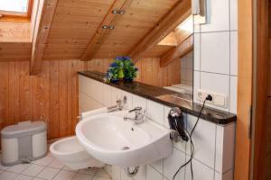 a bathroom with a sink and a toilet at Hauser Hof Grübl in Waldkirchen +32 photos