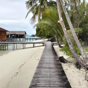 Naturlandskabet i nærheden af pensionatet