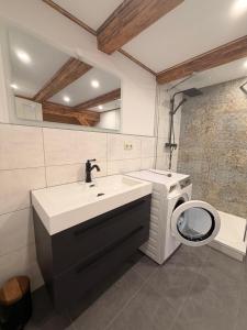 un bagno con lavandino e lavatrice di Zentrale Erbendorfer Studiowohnung a Erbendorf