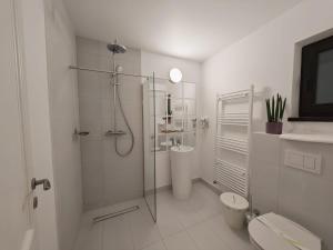 ein weißes Badezimmer mit Dusche und Toilette in der Unterkunft Zodia Craiului in Peştera