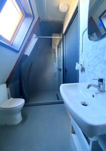 a bathroom with a sink and a toilet and a shower at Het Ambachtshuis Warffum in Warffum +23 photos