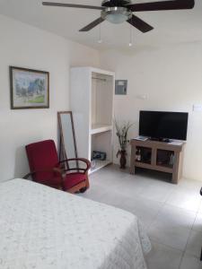 ein Schlafzimmer mit Bett und Flachbildfernseher in der Unterkunft C'VAR Community Vacation Apartment Rentals in Saint Michael