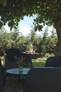 een standbeeld dat op een tafel staat met stoelen en een tafel met een standbeeld bij Casa de Buda Chapadmalal in Chapadmalal