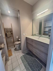 een badkamer met een wastafel, een toilet en een spiegel bij Pause tropicale in Le Diamant +8 foto's