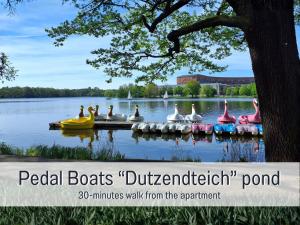 a group of swans on a dock on a lake at Baham-Apartment Nuernberg - including hot tub, sauna, massage chair, roof terrace, barbecue - metro 15 min, exhibition center 8 min walk in Nuremberg