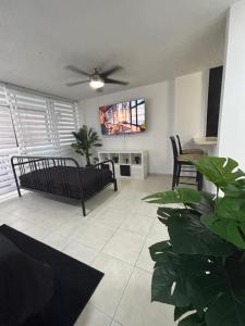 a living room with a couch and a tv at Son de Metro Apartment - Condado Beach & Pool, Walk to Ocean in San Juan